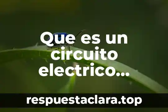 Que es un circuito electrico dibujo