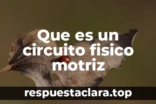 Qué es una señal de reloj en un circuito digital 8 Que es un circuito fisico motriz
