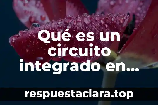 Qué es una señal de reloj en un circuito digital 4 Qué es un circuito integrado en informática