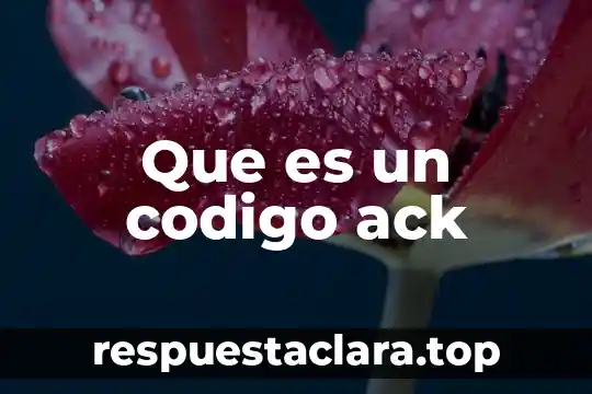 Que es un codigo ack