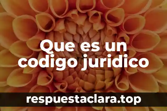 Que es un codigo juridico