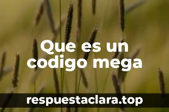 Que es un codigo mega