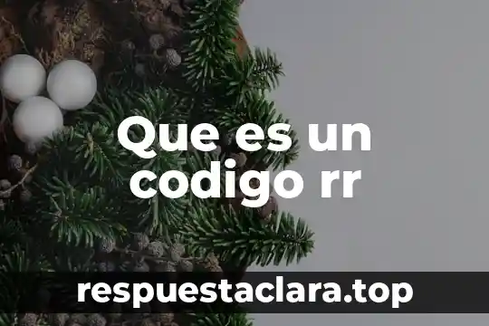 Que es un codigo rr