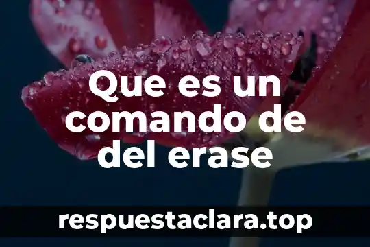 Que es un comando de del erase