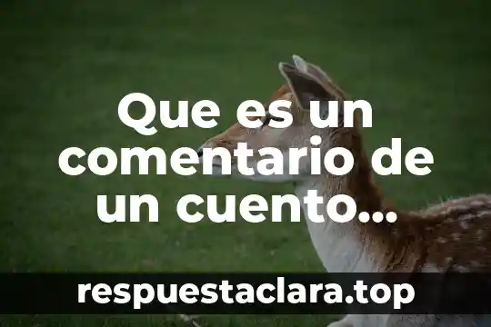 Que es un comentario de un cuento latinoamericano