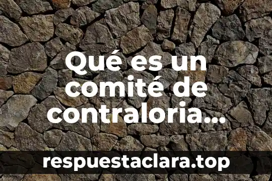 Que es in movimiento social 5 Qué es un comité de contraloria social en una escuela