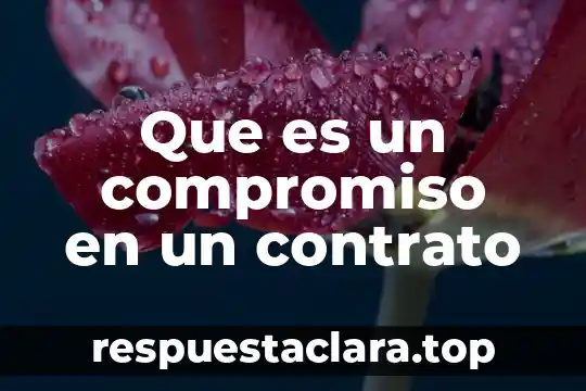 Que es un compromiso en un contrato