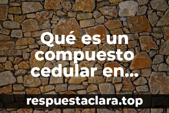 Qué es el grafito de lápiz elemento compuesto o mezcla 6 Qué es un compuesto cedular en México