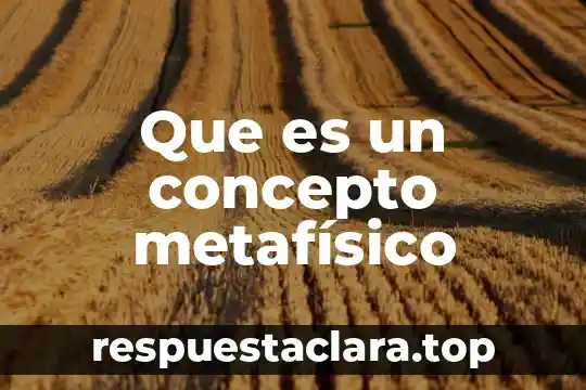 Qué es una asamblea concepto 6 Que es un concepto metafísico