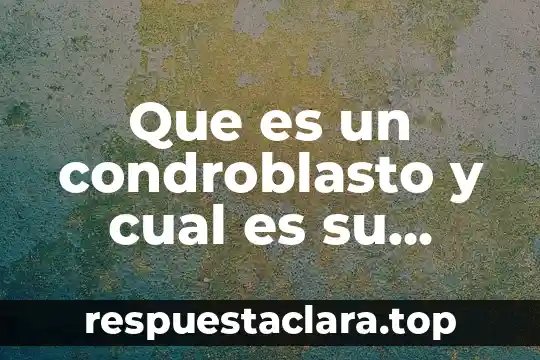 Que es un condroblasto y cual es su funcion