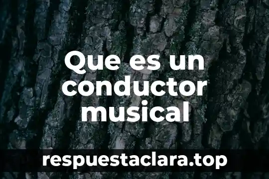Que es un conductor musical