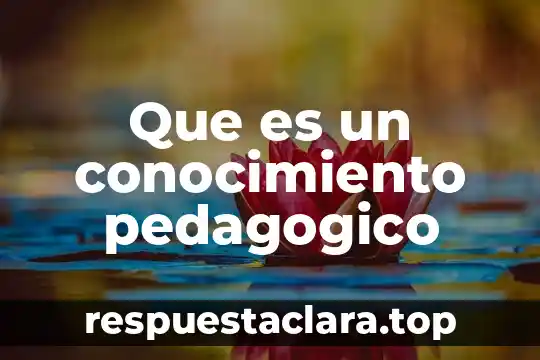 Que es un conocimiento pedagogico