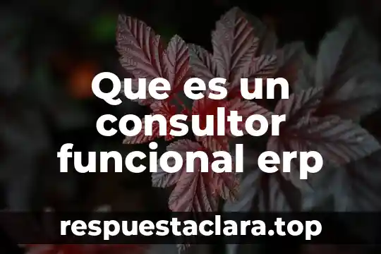 Que es un consultor funcional erp