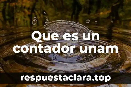 Que es un contador unam