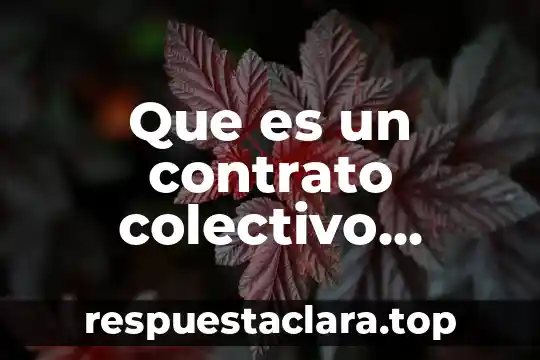 Que es un contrato colectivo ventajas y desventajas