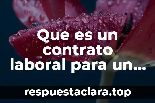 Que es un contrato laboral para un trabajo