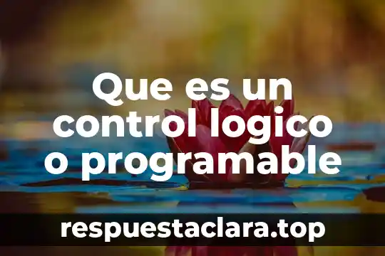 Que es un control logico o programable