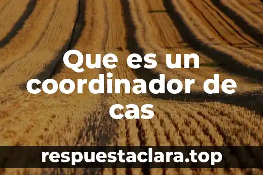 Que es un coordinador de cas