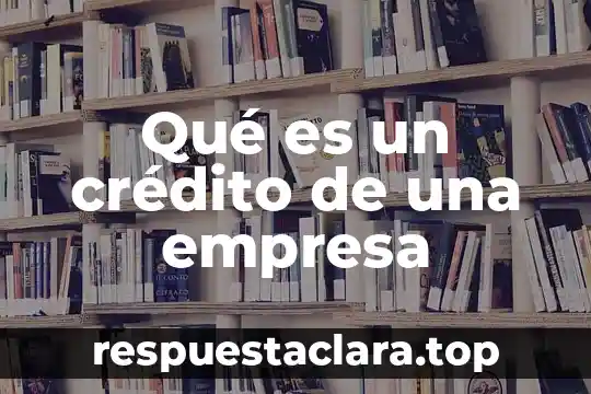 Qué es un crédito de una empresa