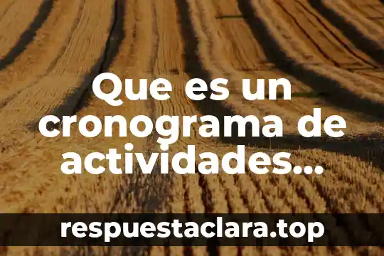 Que es un cronograma de actividades escolares