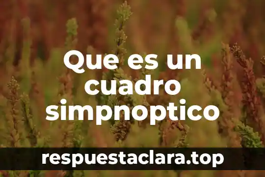 Que es un cuadro simpnoptico