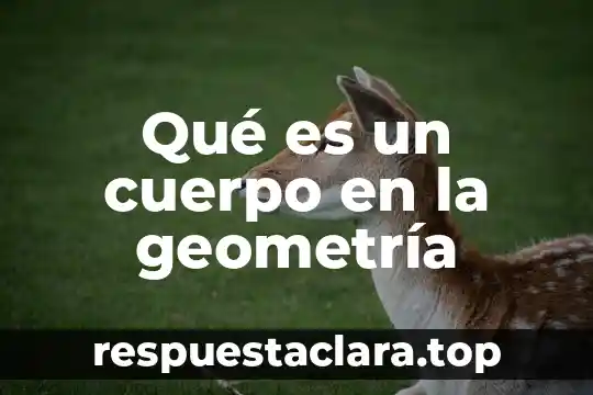 Qué es un cuerpo en la geometría
