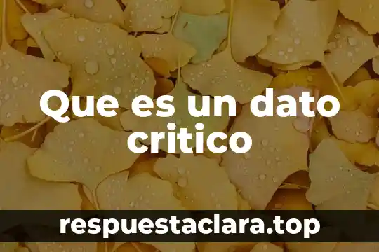 Que es un dato critico