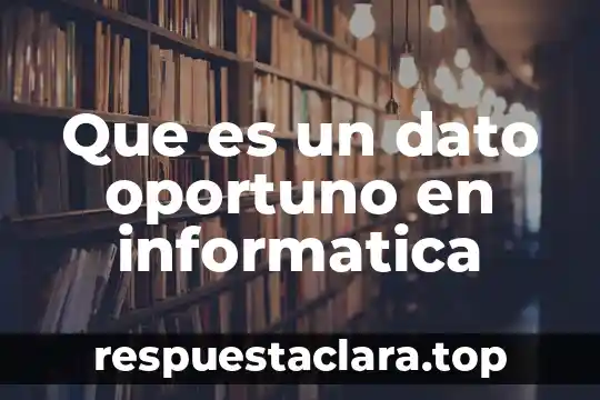 Que es significado y relaciones 6 Que es un dato oportuno en informatica