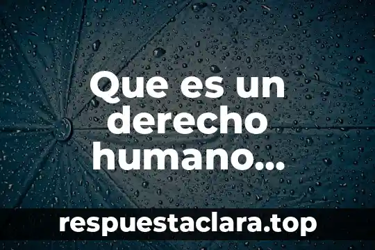 Que es un derecho humano definición