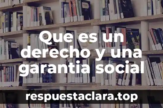 Que es un derecho y una garantia social