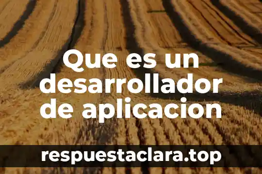 Que es un desarrollador de aplicacion