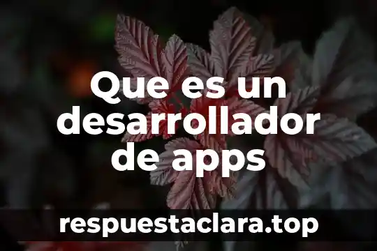 Que es un desarrollador de apps