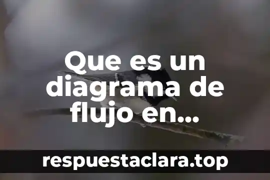 Que es y que significa el diagrama de pareto 3 Que es un diagrama de flujo en computacion