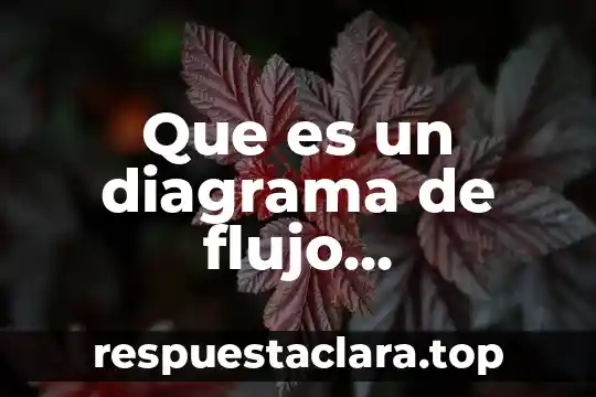 Que es un diagrama de flujo pseudocodigo