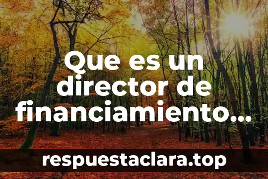 Que es un director de financiamiento y sus funciones