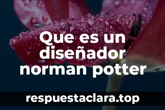 Que es lo que significa un diseñador 4 Que es un diseñador norman potter