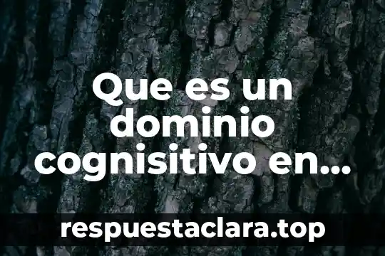 Que es un dominio cognisitivo en los objetivos particulaes
