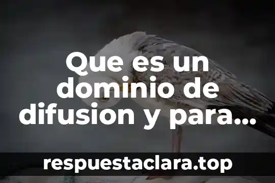Que es dominio publico hidraulico 3 Que es un dominio de difusion y para que sirve