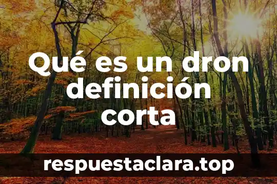 Qué es un dron definición corta