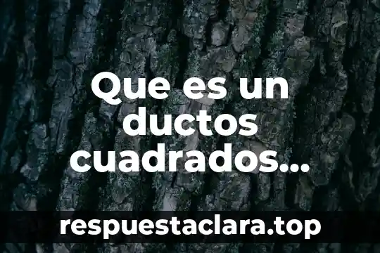 Que es un ductos cuadrados trinitarias