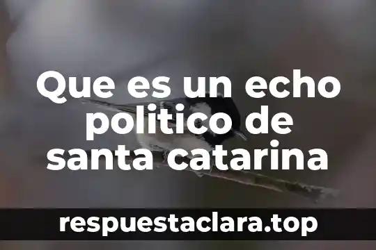 Que es un echo politico de santa catarina