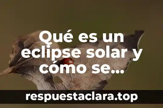 Que es un eclipse de sol total 5 Qué es un eclipse solar y cómo se clasifican
