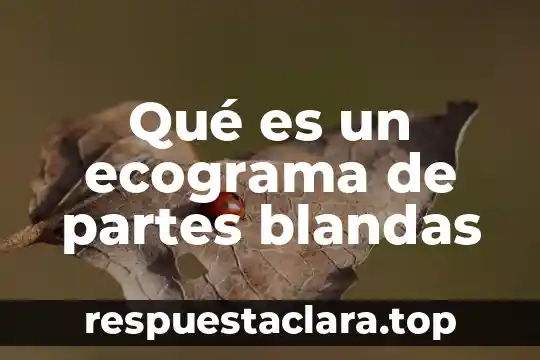 Qué es un ecograma de partes blandas