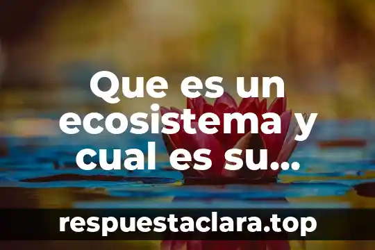 Que es un ecosistema y cual es su funcion