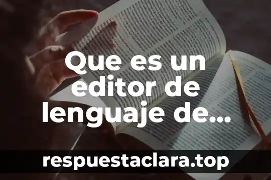 Que es un editor de lenguaje de programación