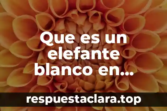 Que es un elefante blanco en arquitectura en mexico