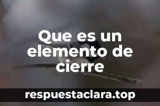 Que es nombre del elemento 8 Que es un elemento de cierre