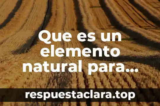 Que es nombre del elemento 7 Que es un elemento natural para niños de primaria de4