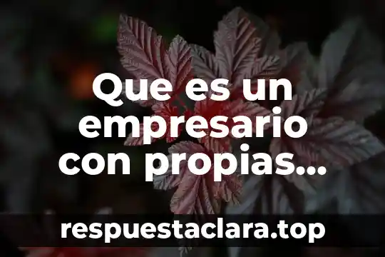 Que es un empresario con propias palabras