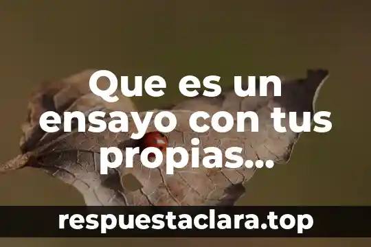 Que es un ensayo con tus propias palabras